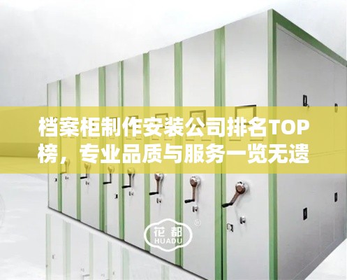 档案柜制作安装公司排名TOP榜，专业品质与服务一览无遗！