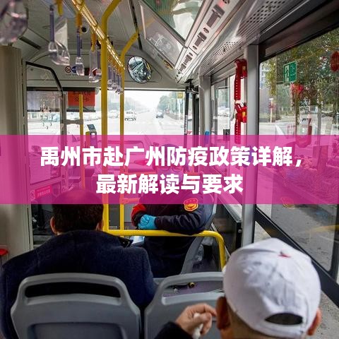 禹州市赴广州防疫政策详解，最新解读与要求