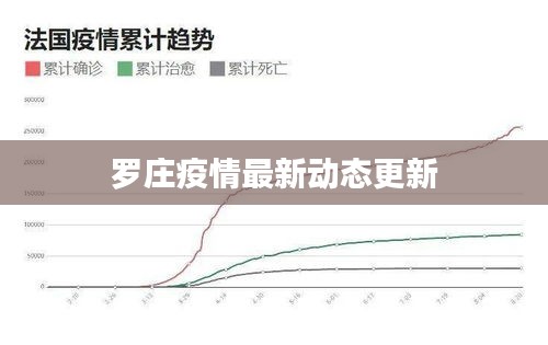 罗庄疫情最新动态更新