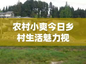 农村小爽今日乡村生活魅力视频上线！