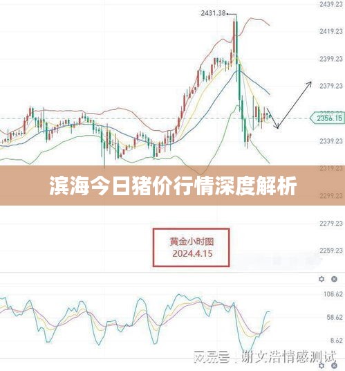 滨海今日猪价行情深度解析