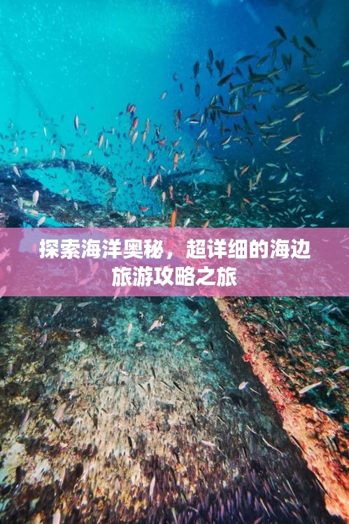 探索海洋奥秘，超详细的海边旅游攻略之旅