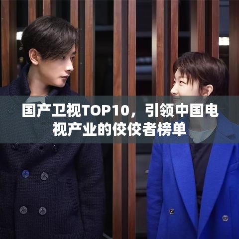 国产卫视TOP10，引领中国电视产业的佼佼者榜单