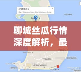 聊城丝瓜行情深度解析，最新报告揭示市场动态