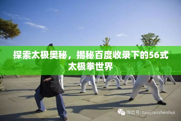 探索太极奥秘，揭秘百度收录下的56式太极拳世界