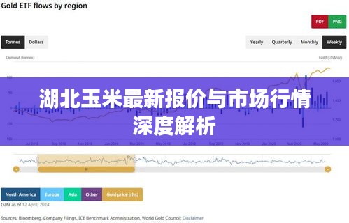 湖北玉米最新报价与市场行情深度解析