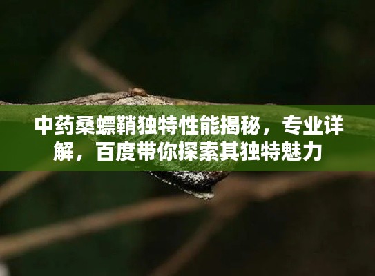 中药桑螵鞘独特性能揭秘，专业详解，百度带你探索其独特魅力