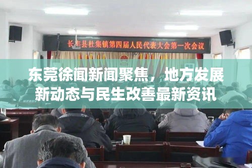 东莞徐闻新闻聚焦，地方发展新动态与民生改善最新资讯