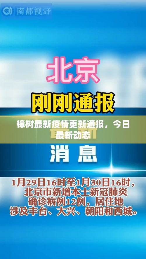 樟树最新疫情更新通报，今日最新动态