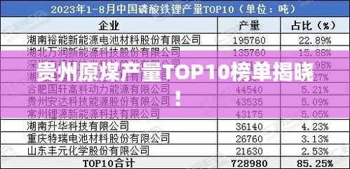 贵州原煤产量TOP10榜单揭晓！