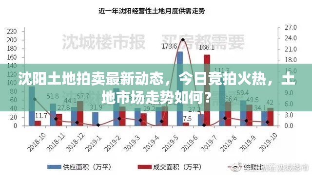 沈阳土地拍卖最新动态，今日竞拍火热，土地市场走势如何？