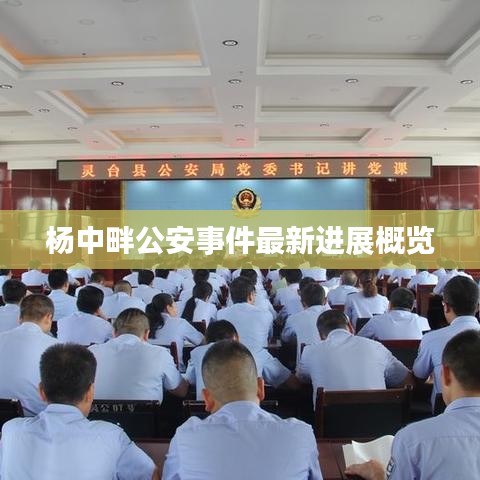 杨中畔公安事件最新进展概览