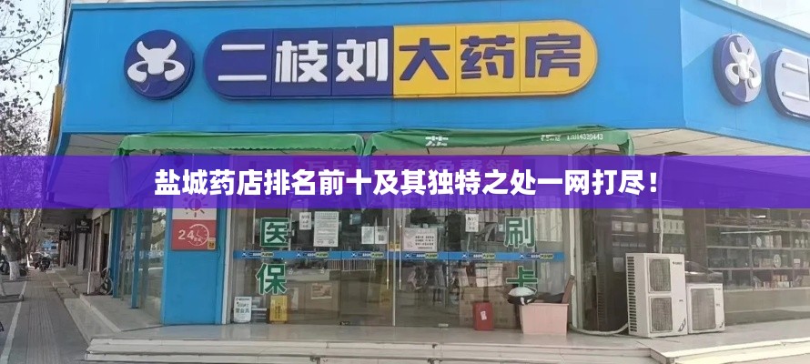 盐城药店排名前十及其独特之处一网打尽！