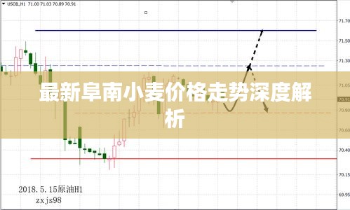 最新阜南小麦价格走势深度解析