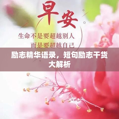 励志精华语录，短句励志干货大解析