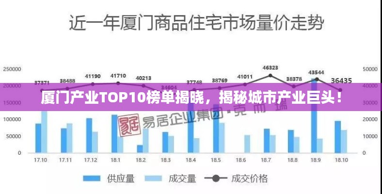 厦门产业TOP10榜单揭晓，揭秘城市产业巨头！