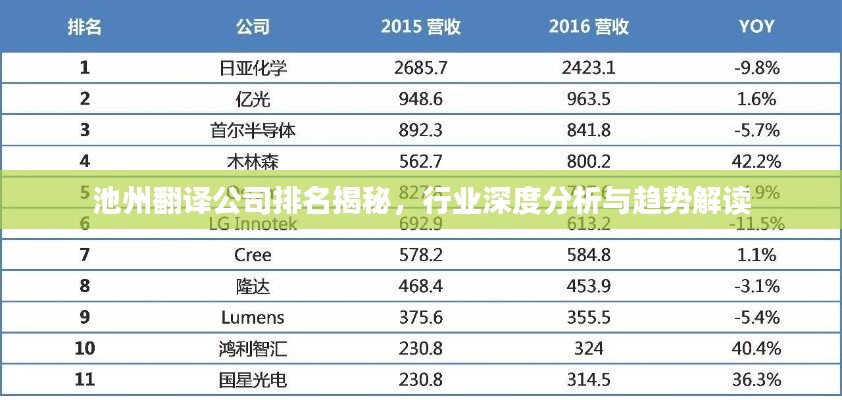 池州翻译公司排名揭秘，行业深度分析与趋势解读