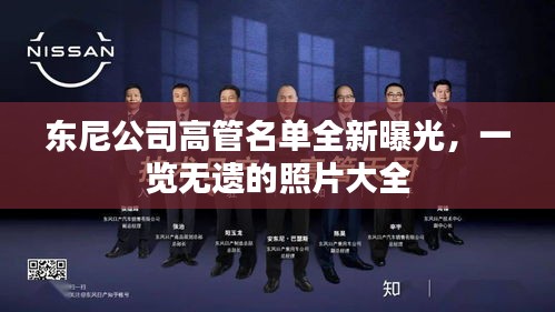 东尼公司高管名单全新曝光，一览无遗的照片大全