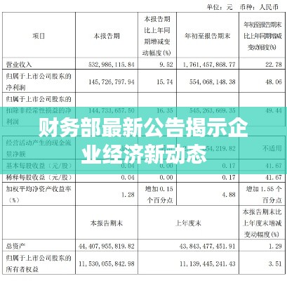 财务部最新公告揭示企业经济新动态