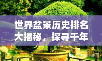 世界盆景历史排名大揭秘，探寻千年盆景文化之旅