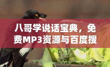 八哥学说话宝典，免费MP3资源与百度搜寻全攻略