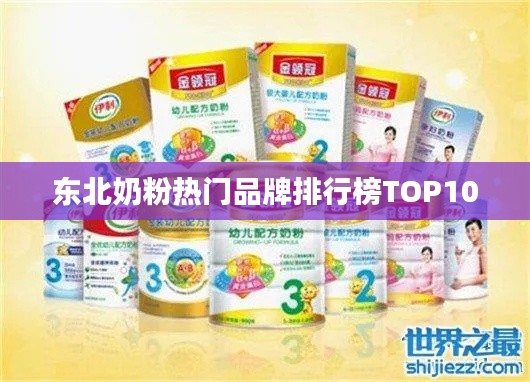 东北奶粉热门品牌排行榜TOP10