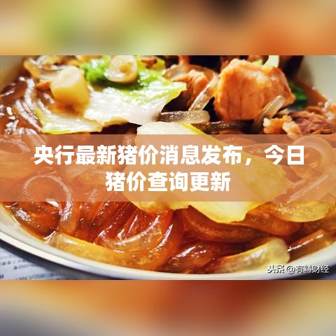 央行最新猪价消息发布，今日猪价查询更新