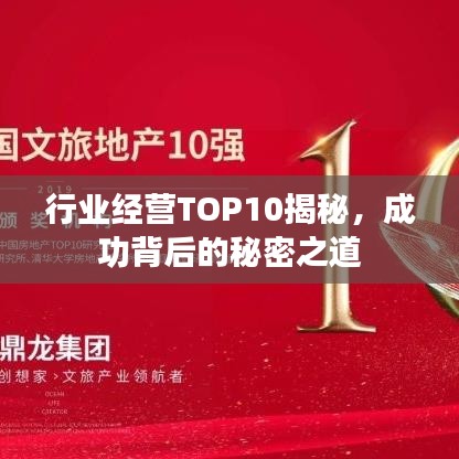 行业经营TOP10揭秘，成功背后的秘密之道