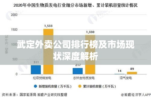 武定外卖公司排行榜及市场现状深度解析