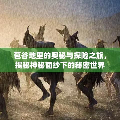 苞谷地里的奥秘与探险之旅，揭秘神秘面纱下的秘密世界