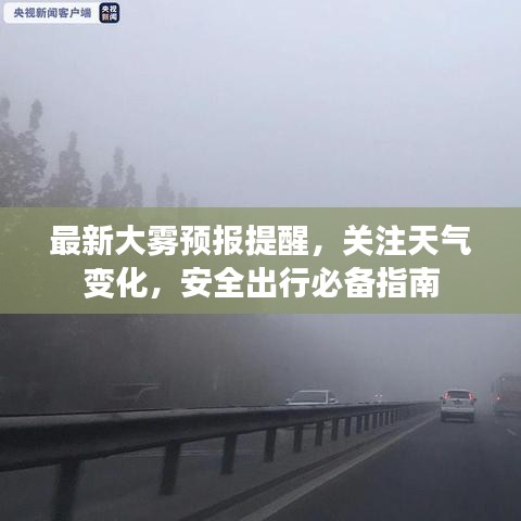 最新大雾预报提醒，关注天气变化，安全出行必备指南