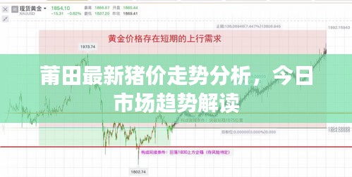 莆田最新猪价走势分析，今日市场趋势解读