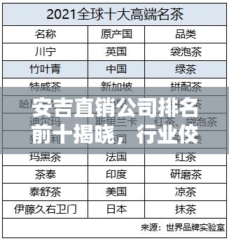 安吉直销公司排名前十揭晓，行业佼佼者引领潮流