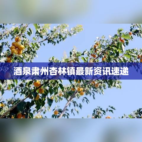 酒泉肃州杏林镇最新资讯速递
