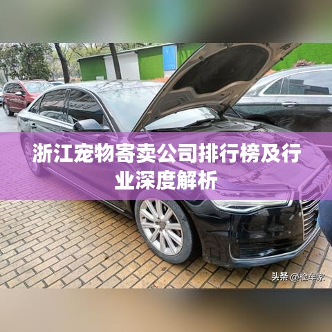 浙江宠物寄卖公司排行榜及行业深度解析