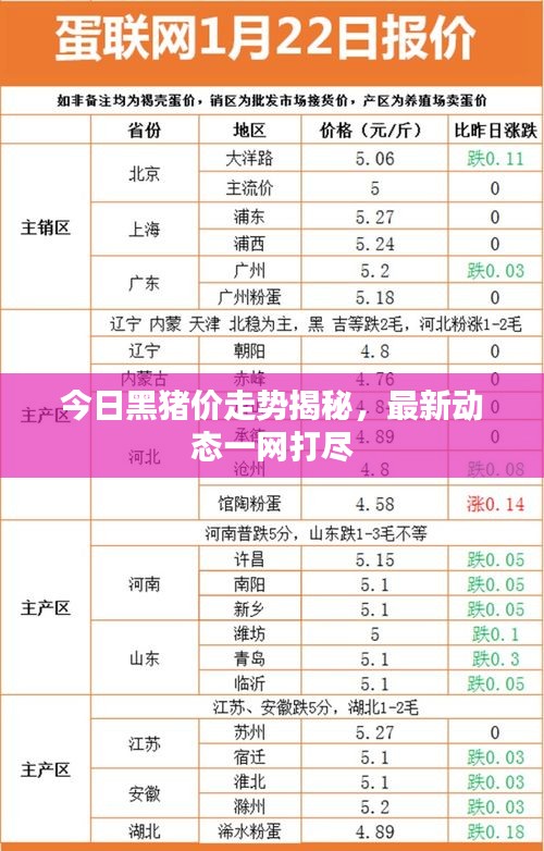 今日黑猪价走势揭秘，最新动态一网打尽