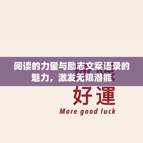 阅读的力量与励志文案语录的魅力，激发无限潜能