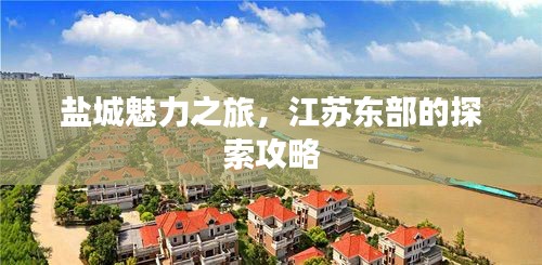 盐城魅力之旅，江苏东部的探索攻略
