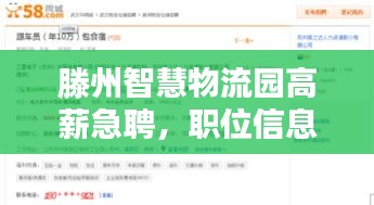 滕州智慧物流园高薪急聘，职位信息大揭秘！