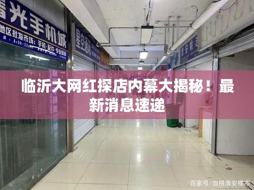 临沂大网红探店内幕大揭秘！最新消息速递