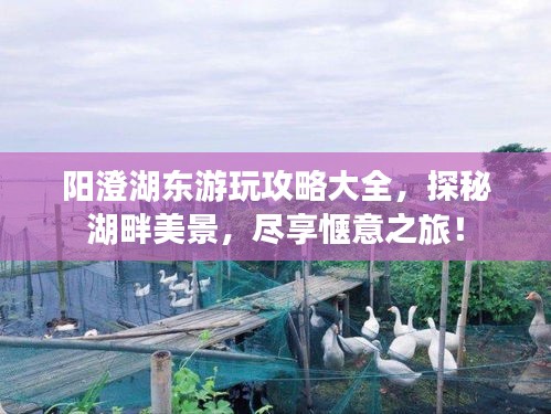 阳澄湖东游玩攻略大全，探秘湖畔美景，尽享惬意之旅！
