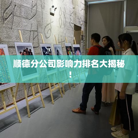 顺德分公司影响力排名大揭秘！