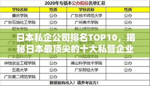 日本私企公司排名TOP10，揭秘日本最顶尖的十大私营企业