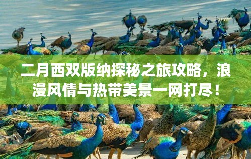 二月西双版纳探秘之旅攻略，浪漫风情与热带美景一网打尽！