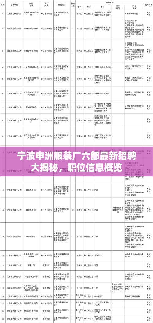 宁波申洲服装厂六部最新招聘大揭秘，职位信息概览
