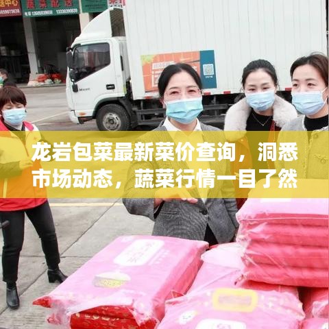 龙岩包菜最新菜价查询，洞悉市场动态，蔬菜行情一目了然