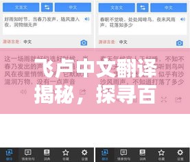 飞卢中文翻译揭秘，探寻百度背后的神秘世界