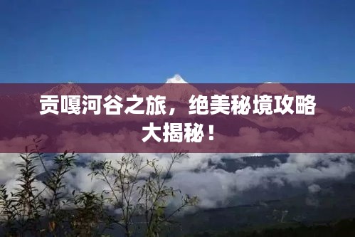 首鼠两端