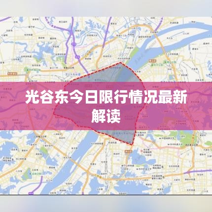 光谷东今日限行情况最新解读