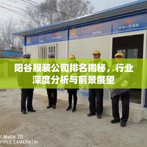 阳谷服装公司排名揭秘，行业深度分析与前景展望